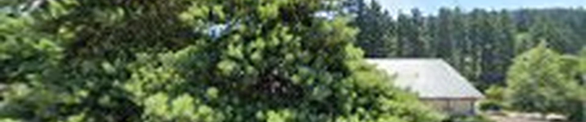Aspen Creek Landscaping