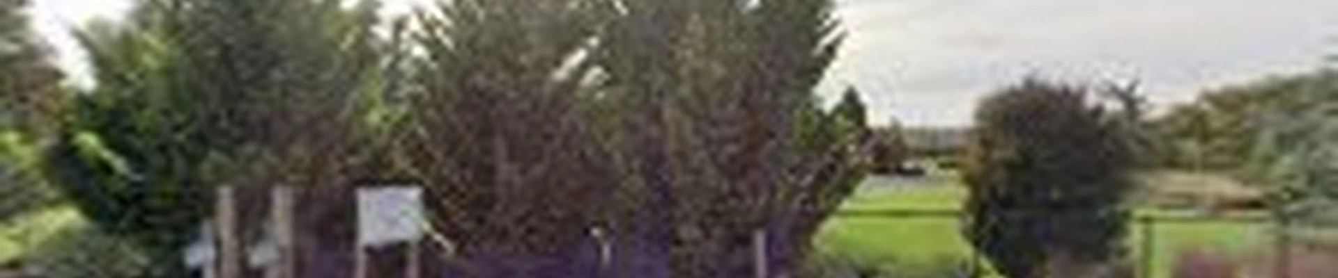 All Oregon Landscaping, Inc