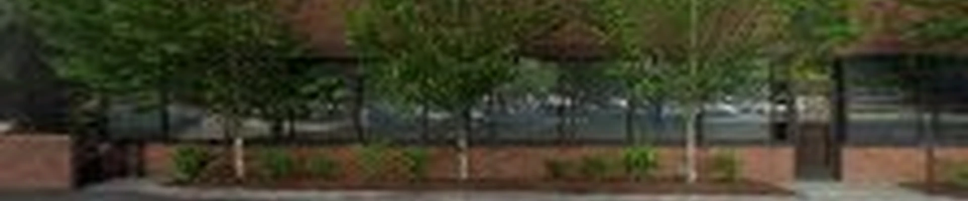 Jolly Rock Trees & Landscaping