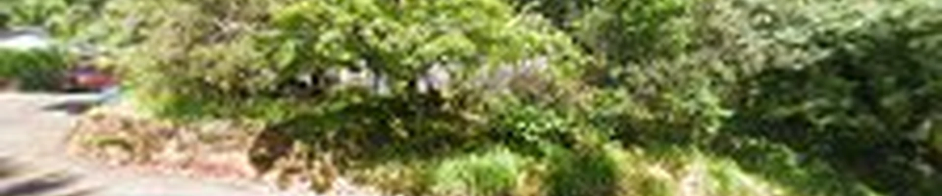 Jerry Jones Landscaping