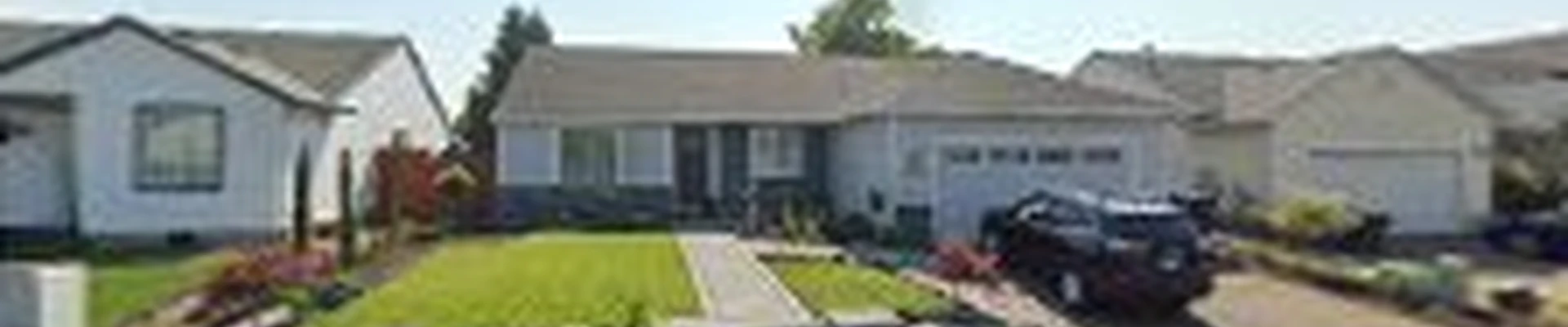 Premium Gardens Landscaping Maintenance