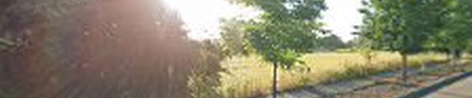 Prime Landscape Services, LLC.