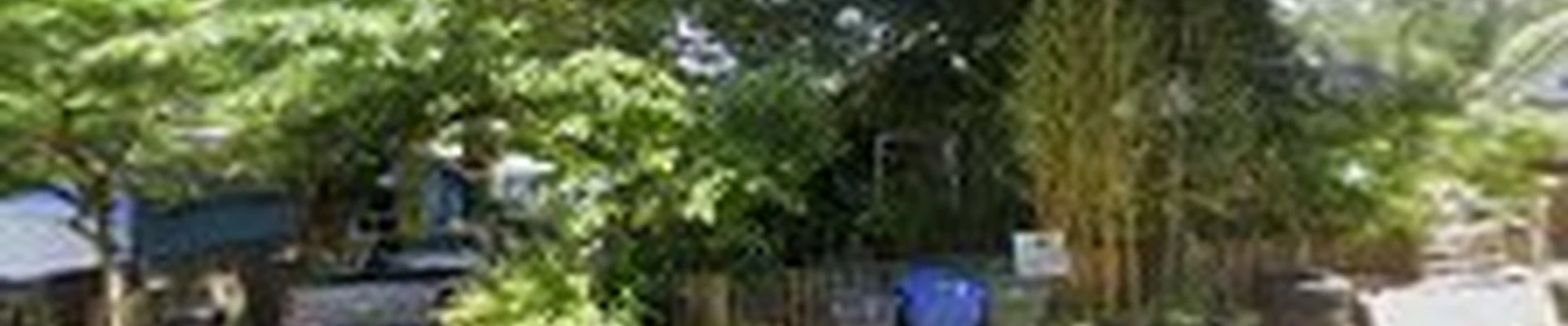Austin Brown Landscaping LLC