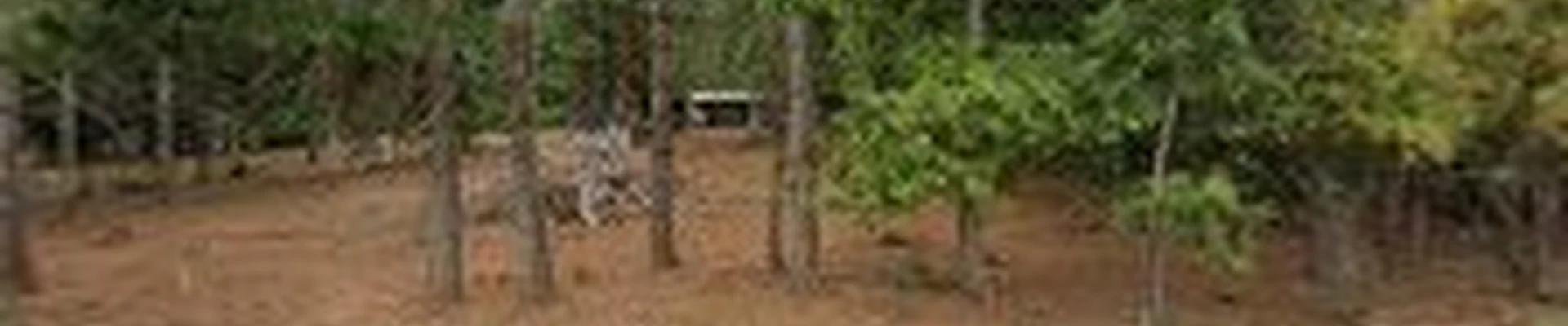BIGFOOT Landscape Maintenance, LLC