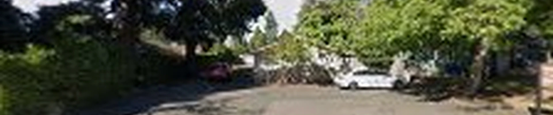 Landscaping Miracles
