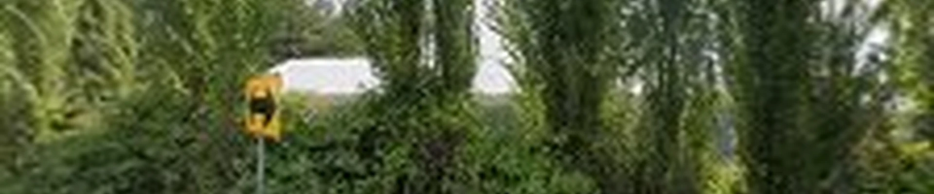 Sierra Northwest Landscaping Co