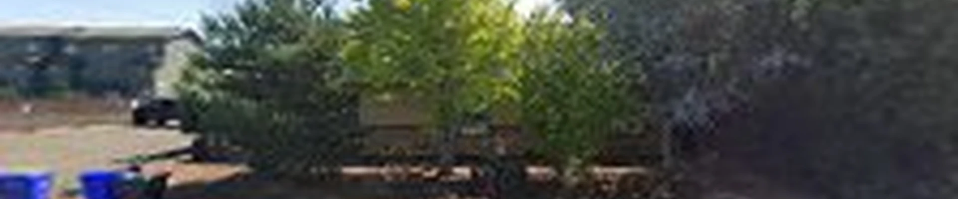 Andres Landscape