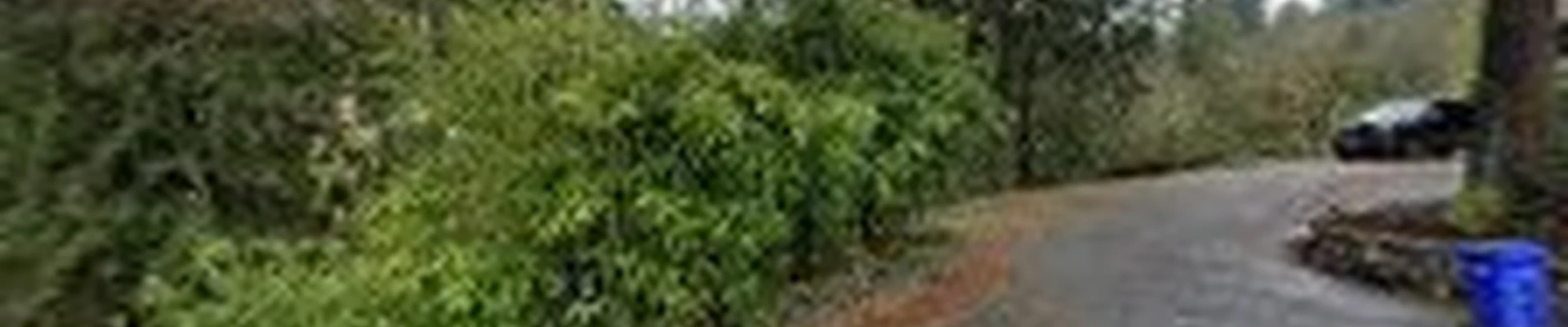 Amaranth Organic Gardening