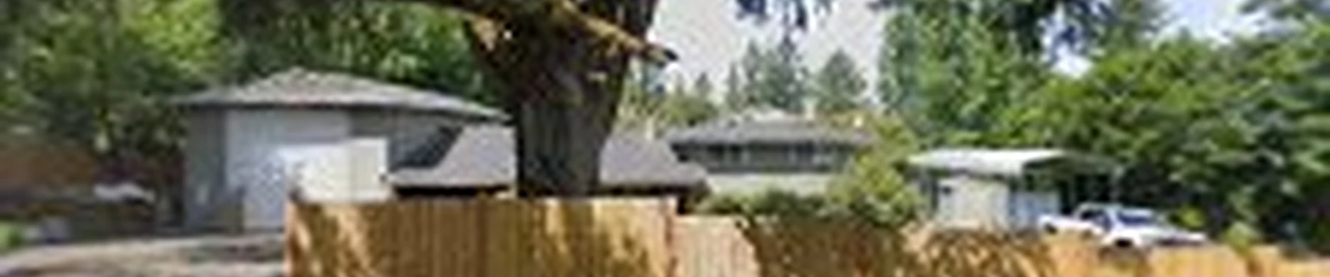 Neyda's Landscape Maintenance Llc