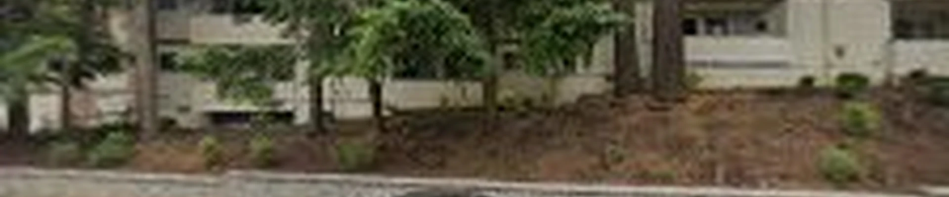 PG Landscape maintenance