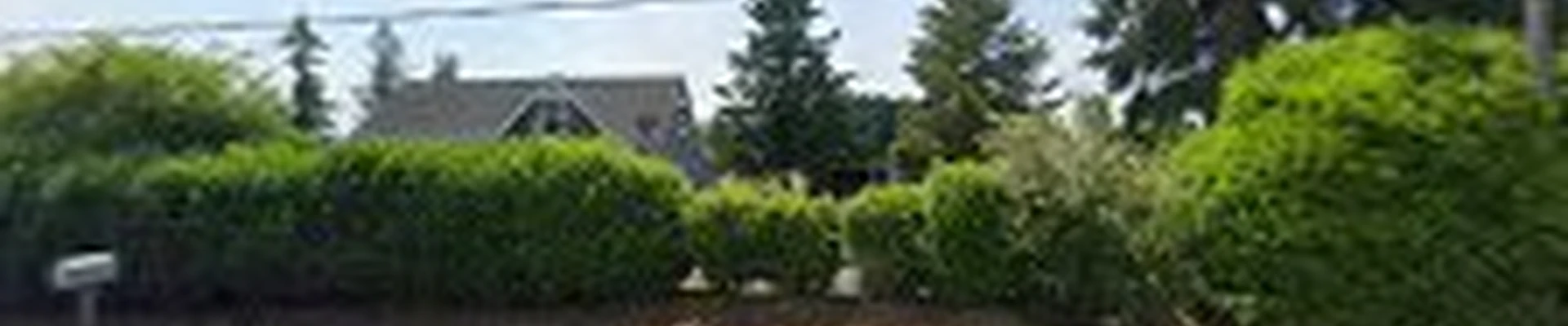 Mountain View Landscapes