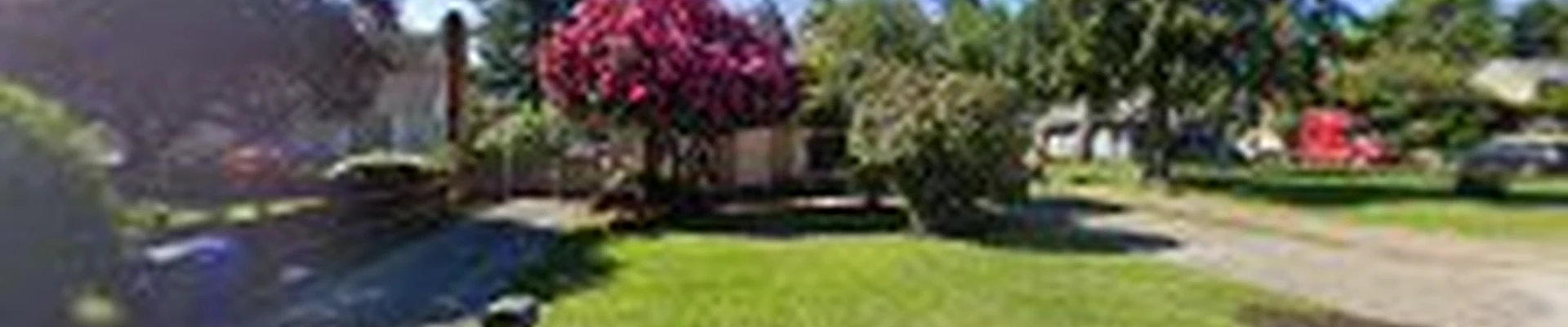 Global Green Tree and Landscaping Service