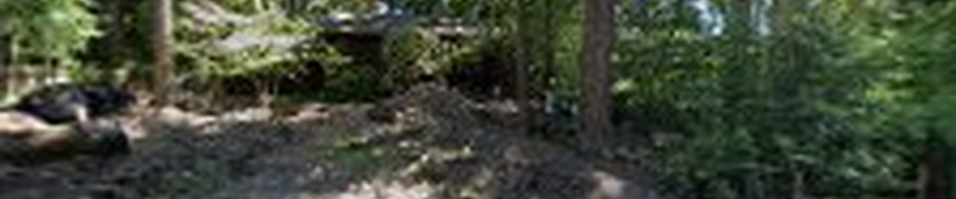 Chozen Gardens