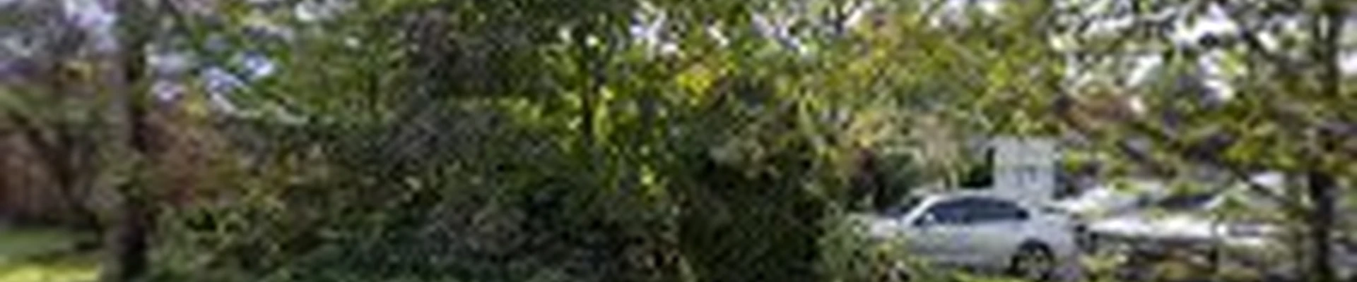 Perez Landscaping Maintenance LLC