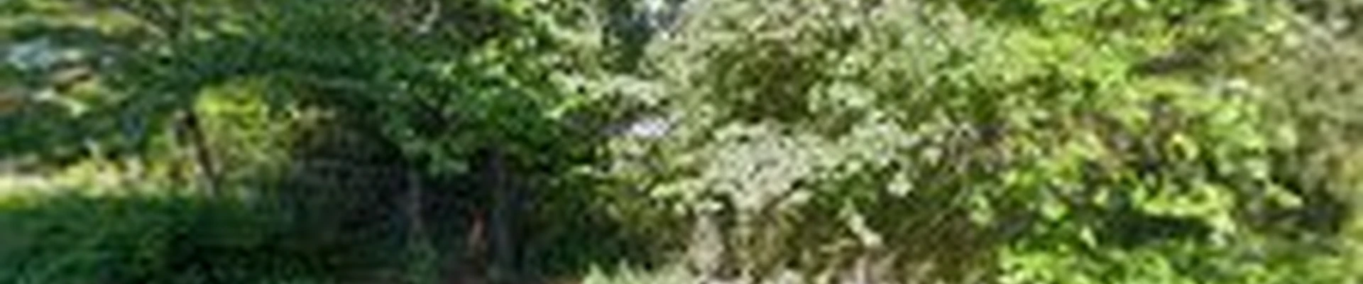 Urban Ecosystemsllc