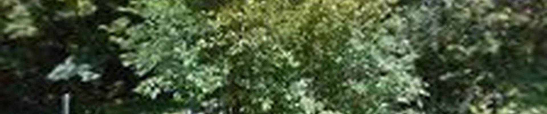 Nature By Design Landscape, Inc