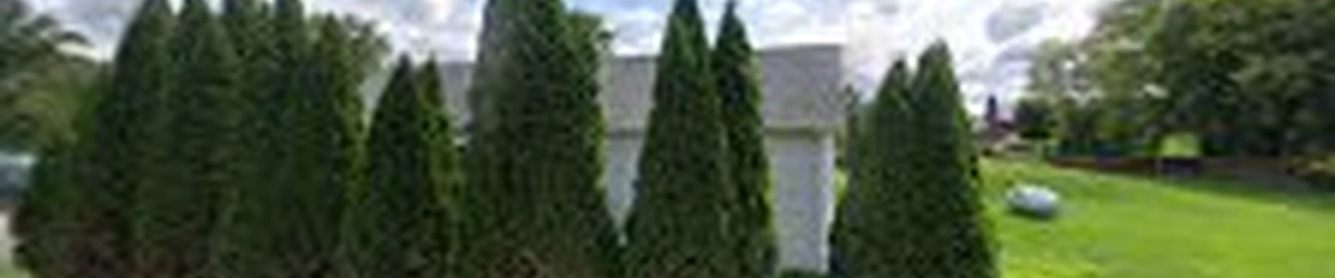 Shawn's Outdoor Services
