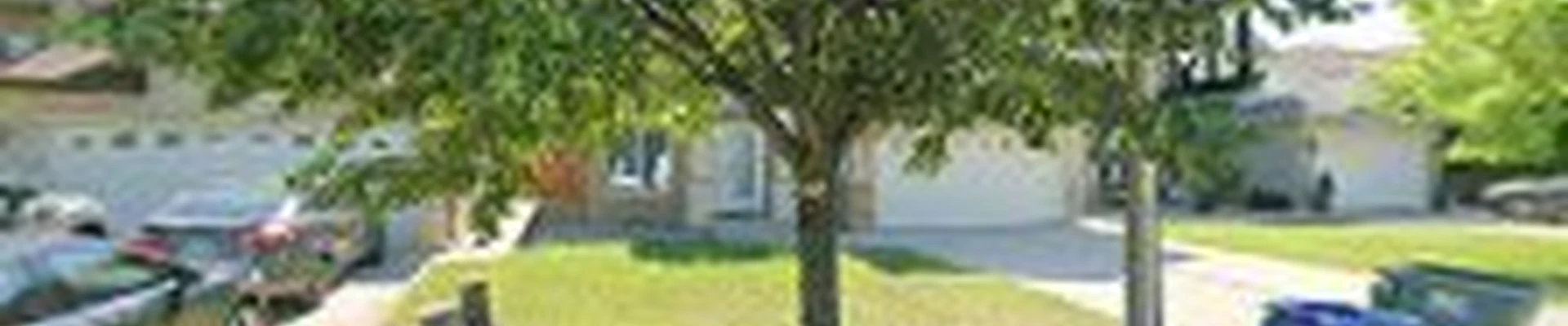 Punjab 29 Landscaping & Fencing