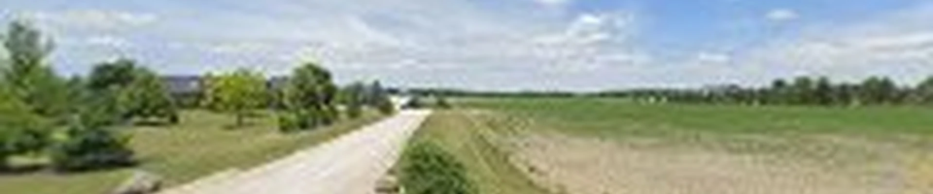 C.D Landscaping