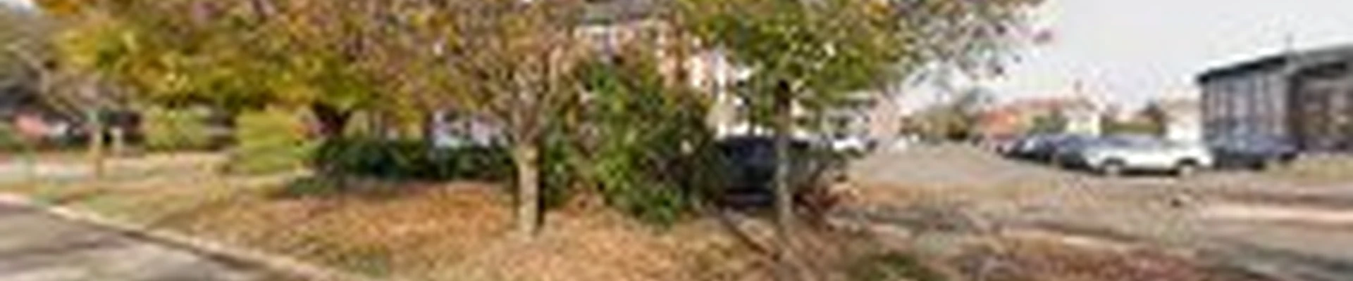 White Maple Landscaping - Farmington Hills