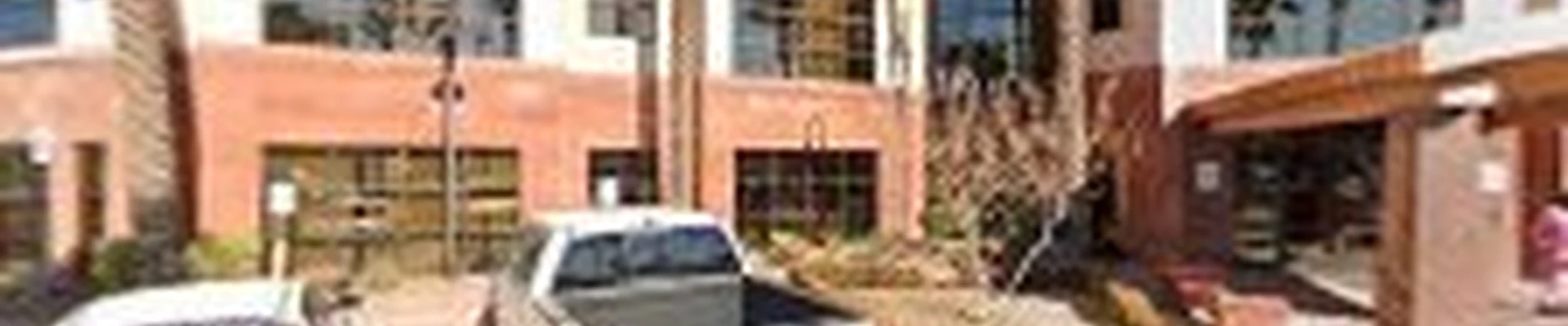 Green America Tree & Landscaping LLC