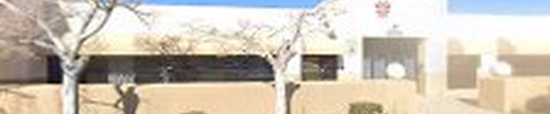 Y&L Patio Design Las Vegas Landscaping