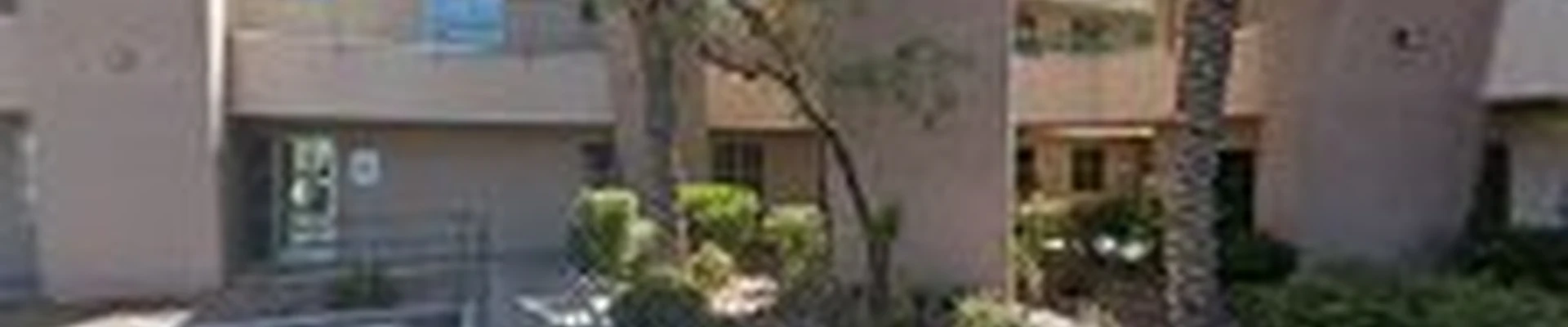 Las Vegas Artificial Grass