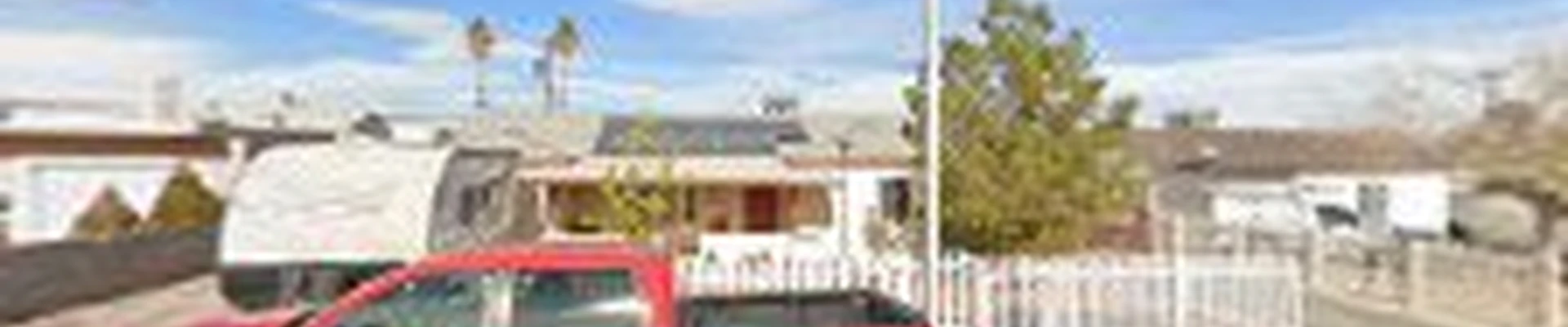 Palms & Trees Services