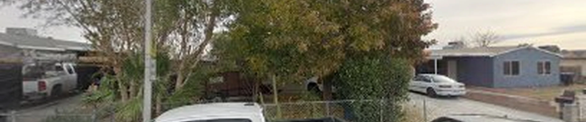 New Paradise Landscaping