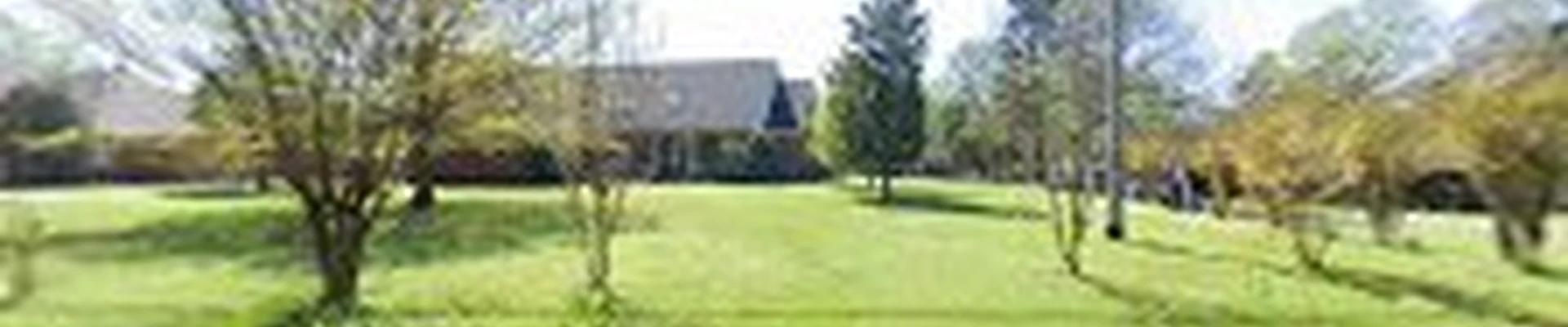 D's Lawn and Landscapes