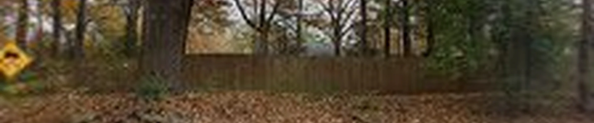 Brothers Landscaping and Tree Services