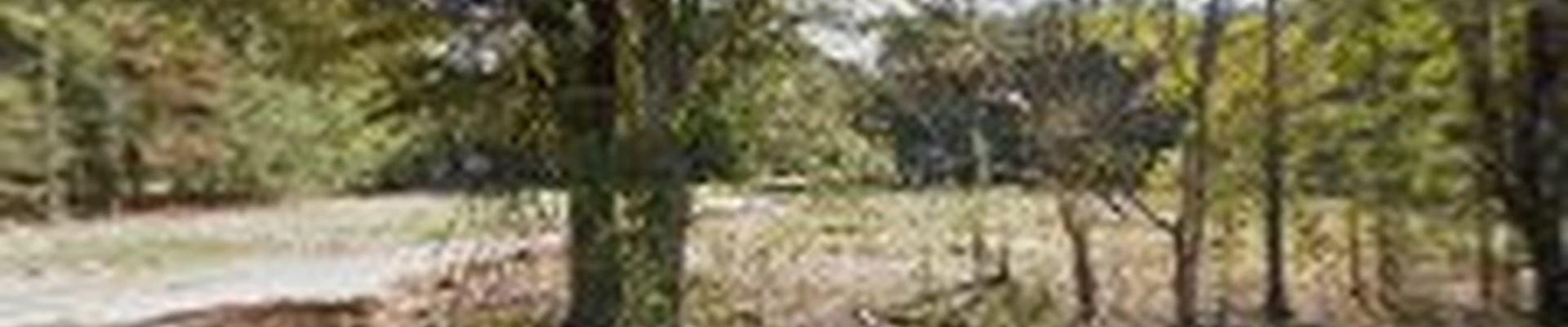 Logans Lawn Care and Maintenance LLC