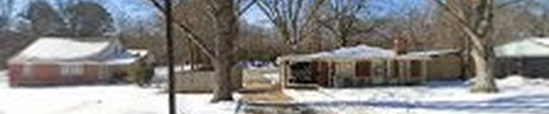 CRUZZ TREE AND LANDSCAPING SERVICES