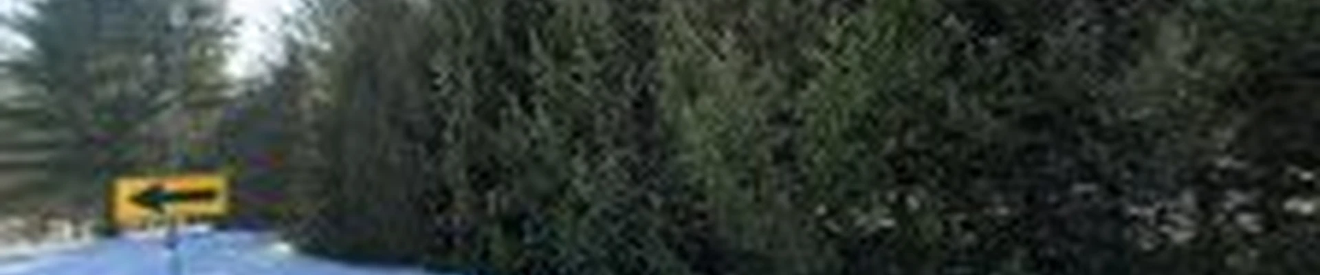 Getty's Lawn & Landscaping