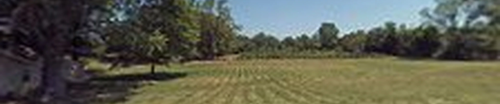 Eden Shale Nursery and Landscaping