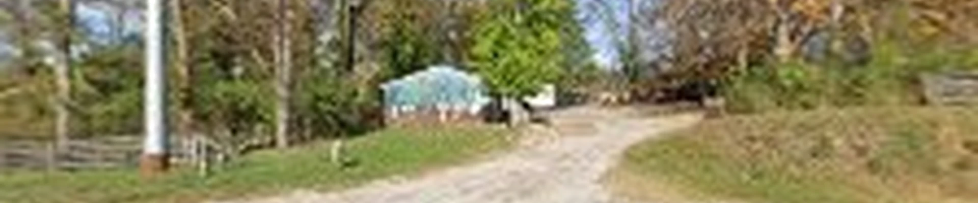 Earthbound Tree Care & Landscaping