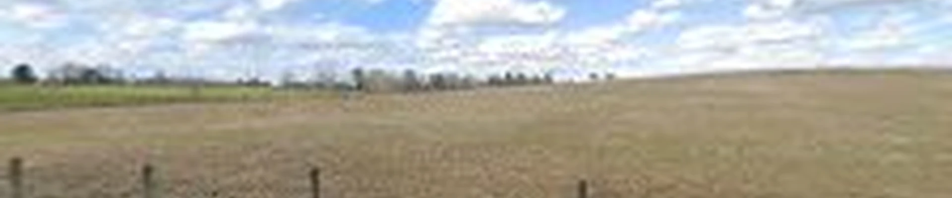 Sandy Abrams Landscaping
