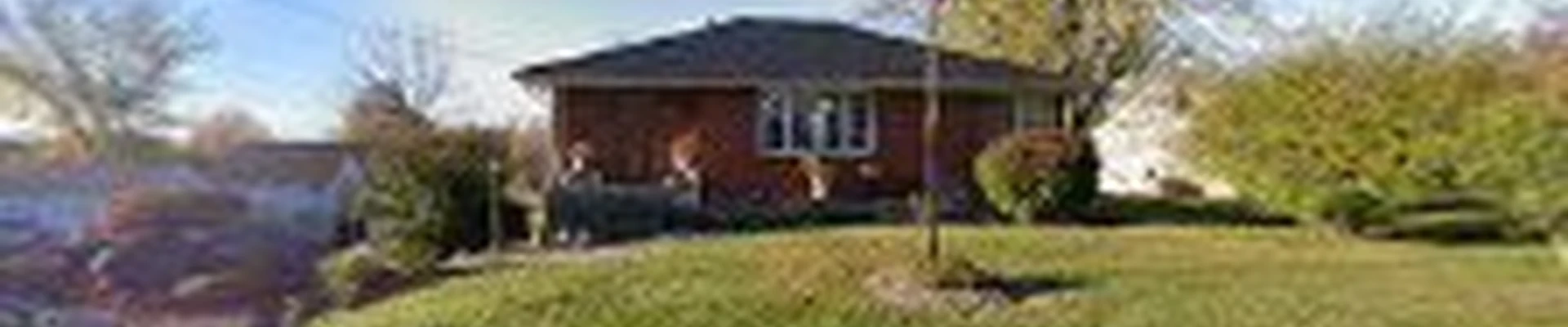 Williams Special Touch Lawn and landscape