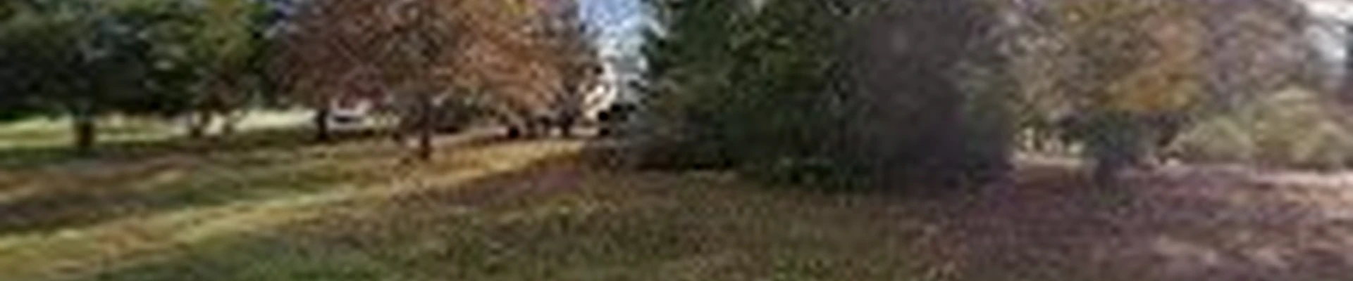 Excel Lawn & Landscape