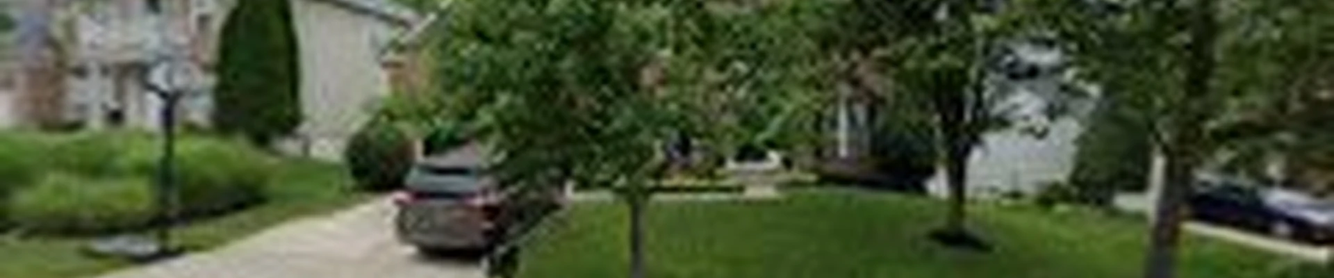 MD Lawn Care & Landscaping