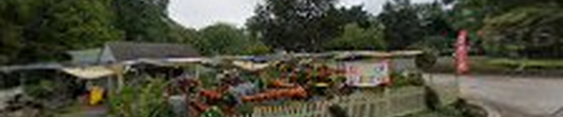 Stallings Landscaping
