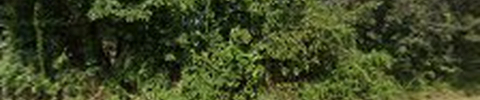 E-Landscape Specialty Solutions, LLC