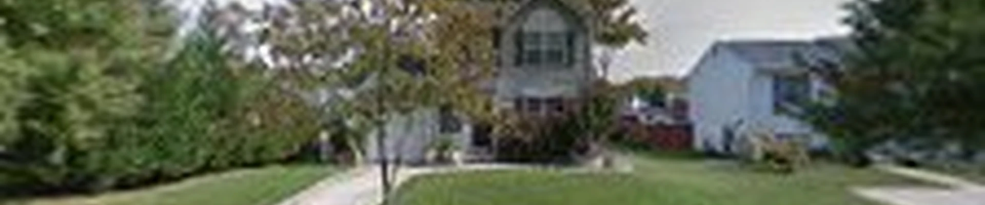 Franci Scapes Llc