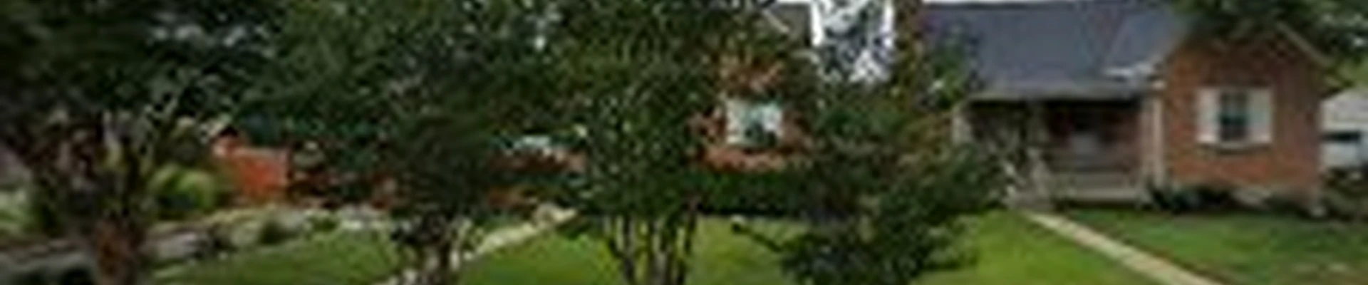 Wilson landscaping LLC