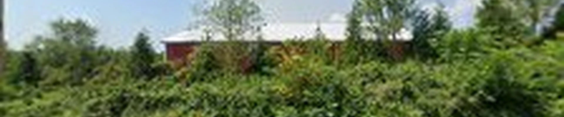 Seven Springs Landscaping LLC