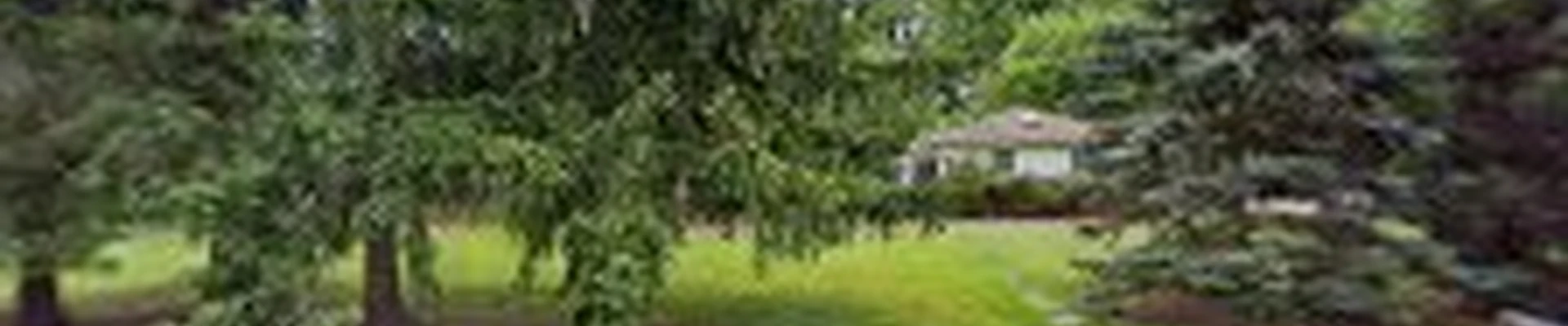DCI Landscaping