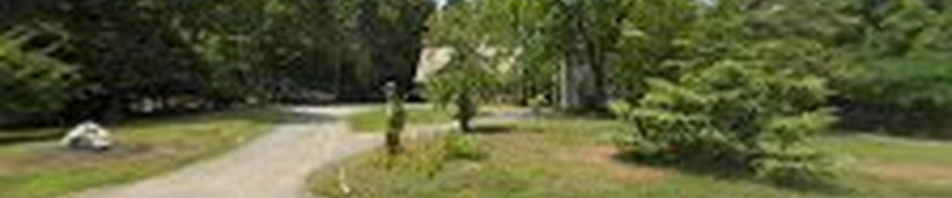 Charles River Tree Company