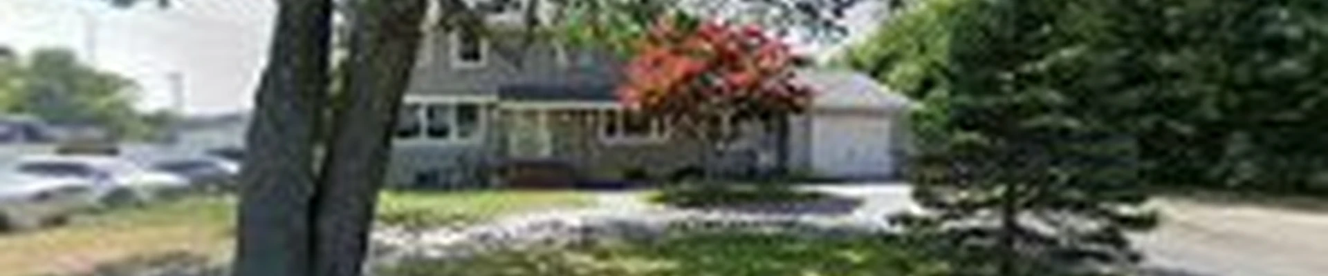 K. Lima landscaping & Cleaning, Spring Clean Up, Lawn Mowing, Mulching