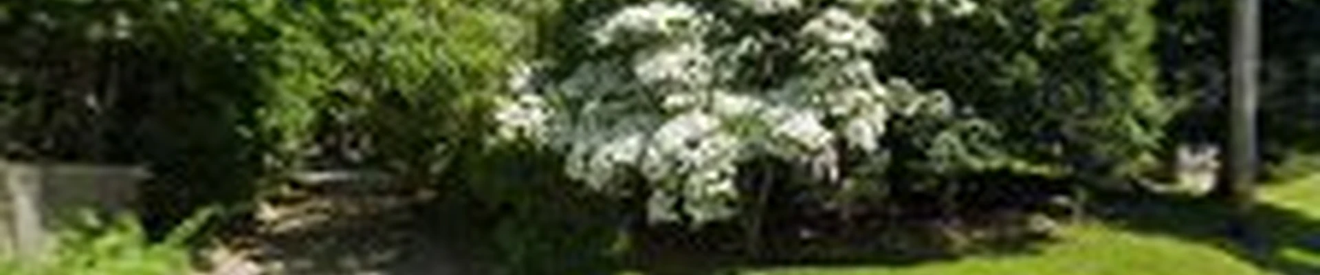 R & J landscaping