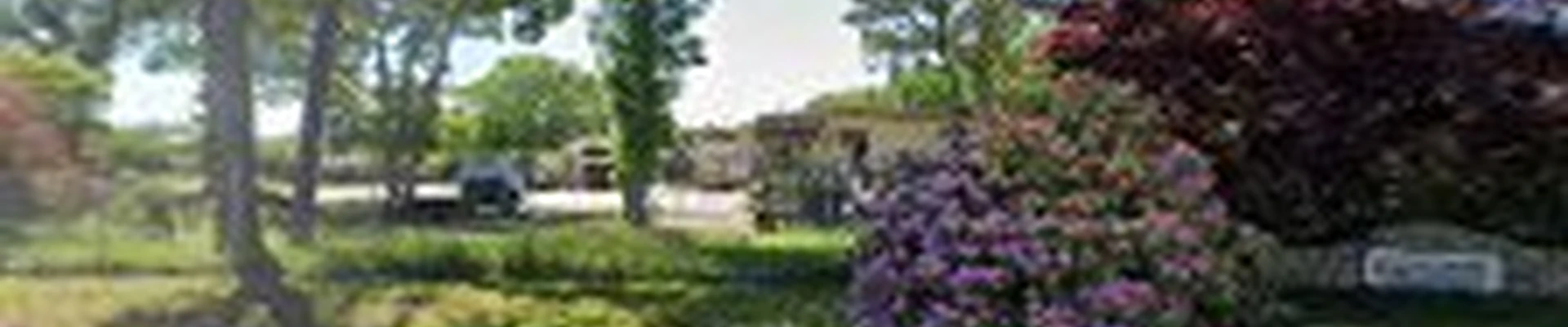 CMS Landscape